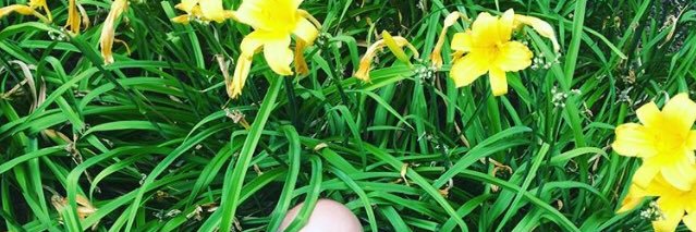 hipe's profile banner image