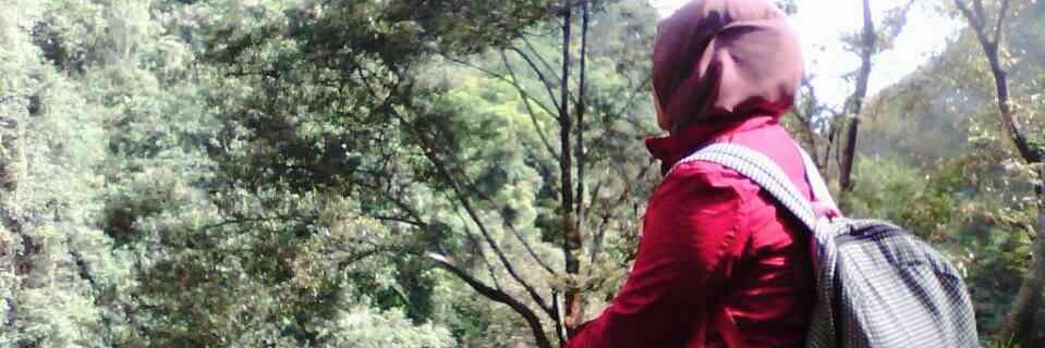 tanolit's profile banner image