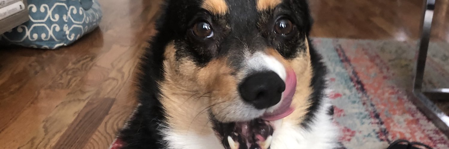 vickayyyyyyyyyy's profile banner image