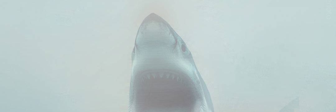 Dasha_Voo's profile banner image