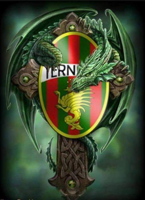 ZenoniFrancesco's profile banner image