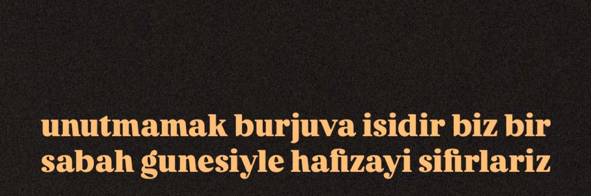 seymaasengull's profile banner image
