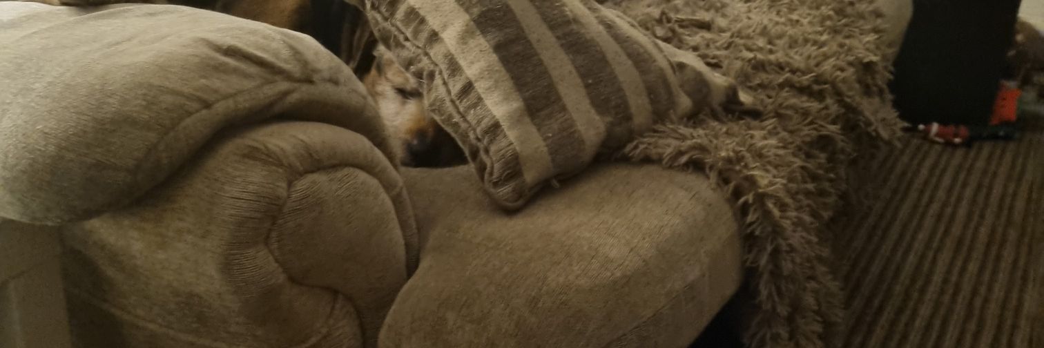 Geoff banner