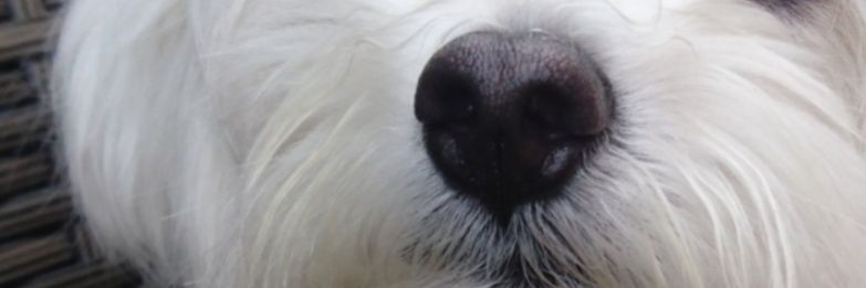Murphy43412744's profile banner image