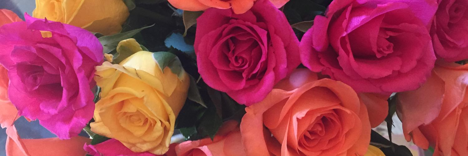 anamaureen's profile banner image