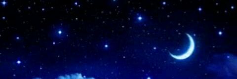 SadCatHarry's profile banner image