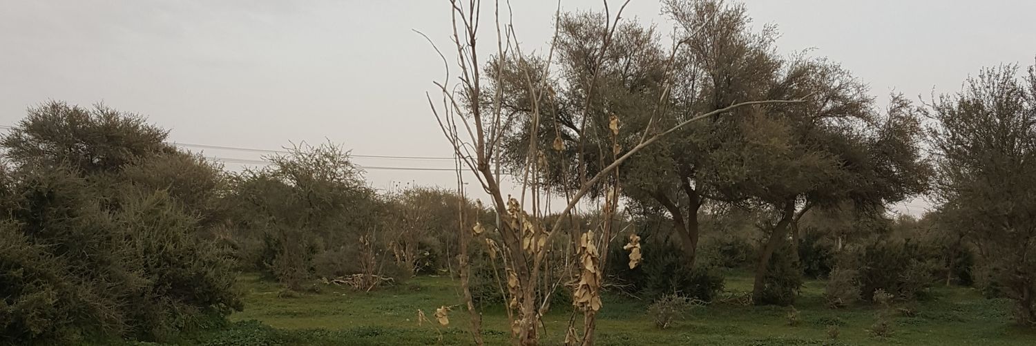 For_2O2's profile banner image