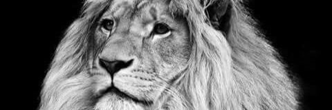 ps2376's profile banner image