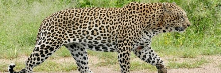 Mdureshey's profile banner image