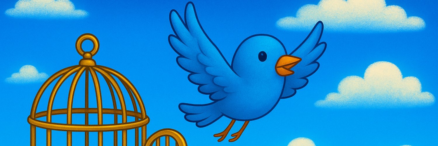 メチコ🐥 banner