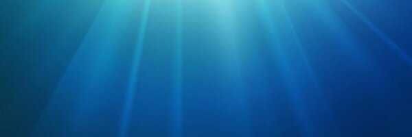 TheAverageShark Profile Banner