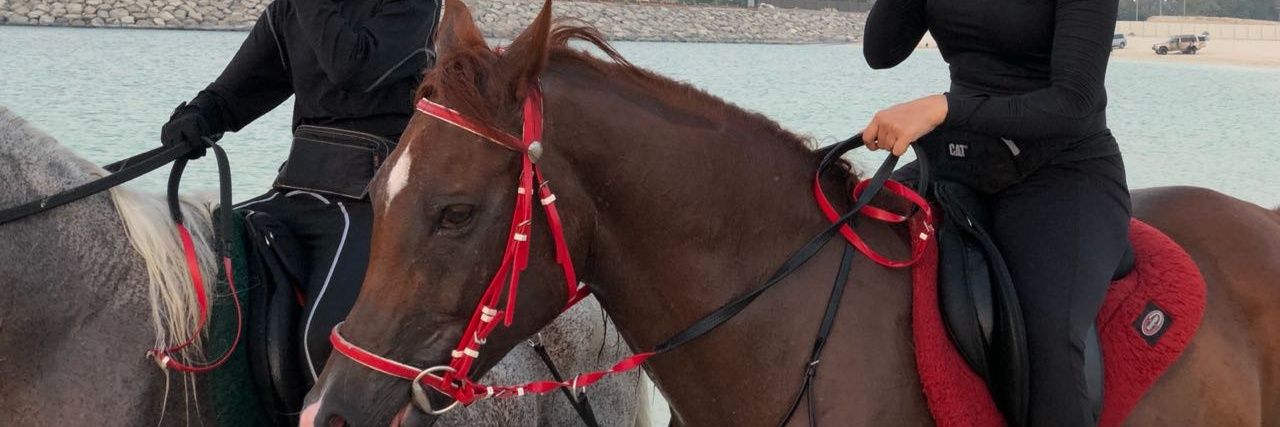 عائشه بن طيب الجعيدي banner