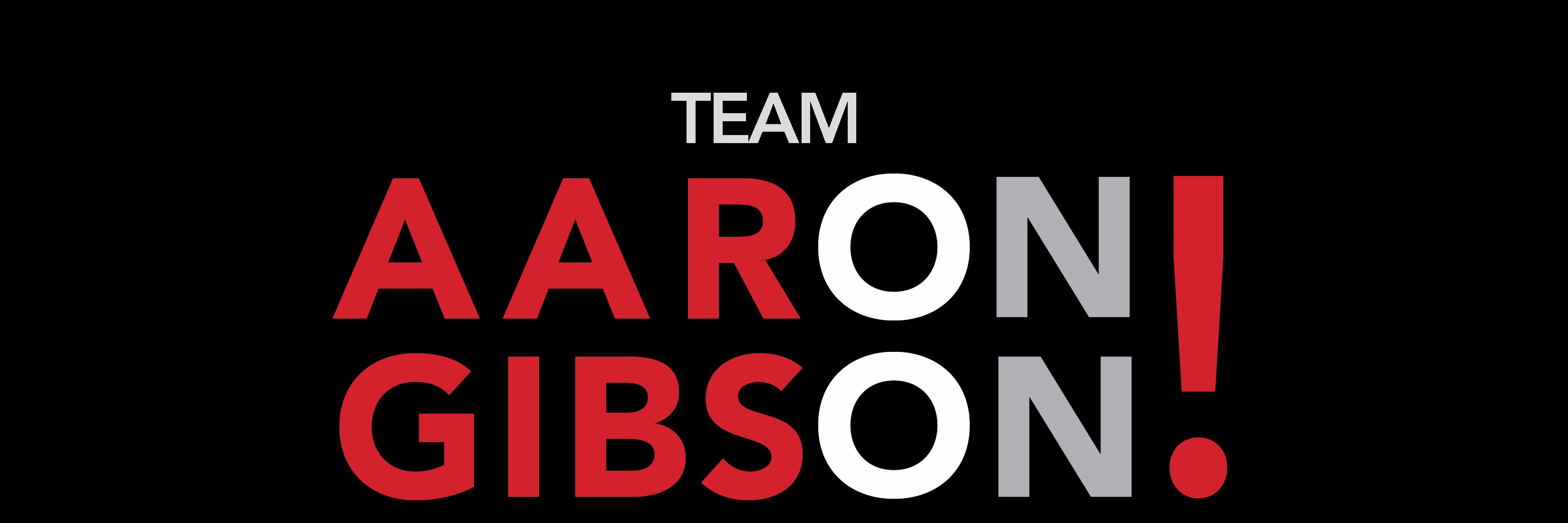 TeamAaronGibson's profile banner image