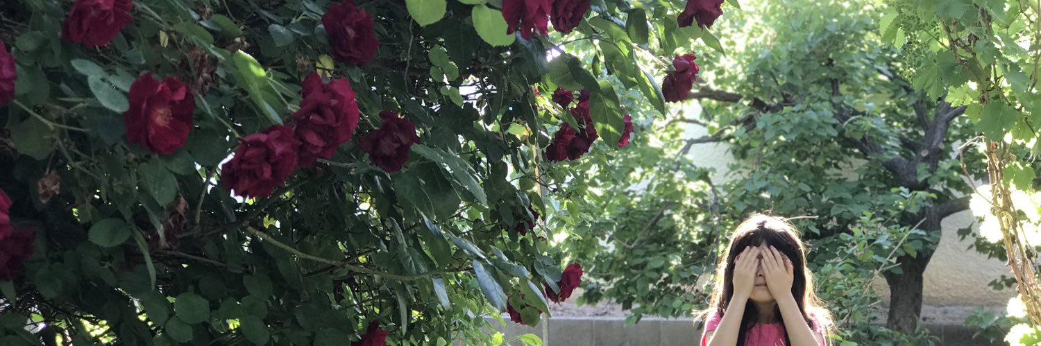 dreampinklv's profile banner image