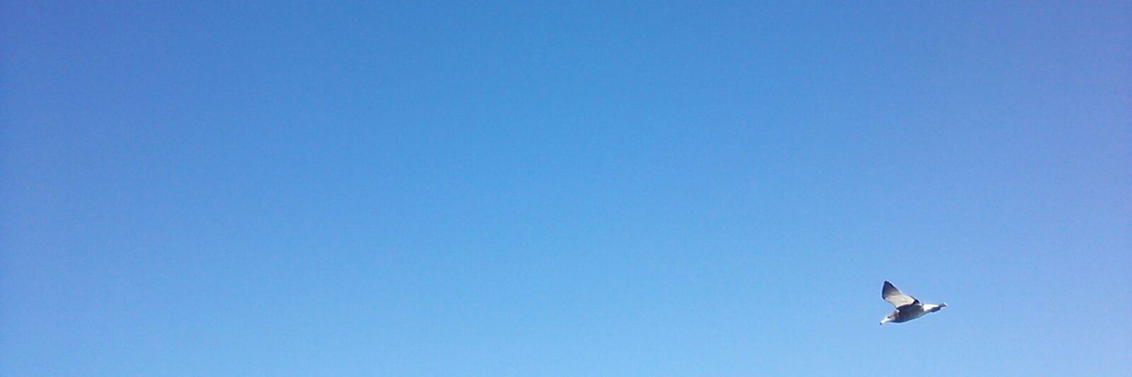 skyblue465's profile banner image