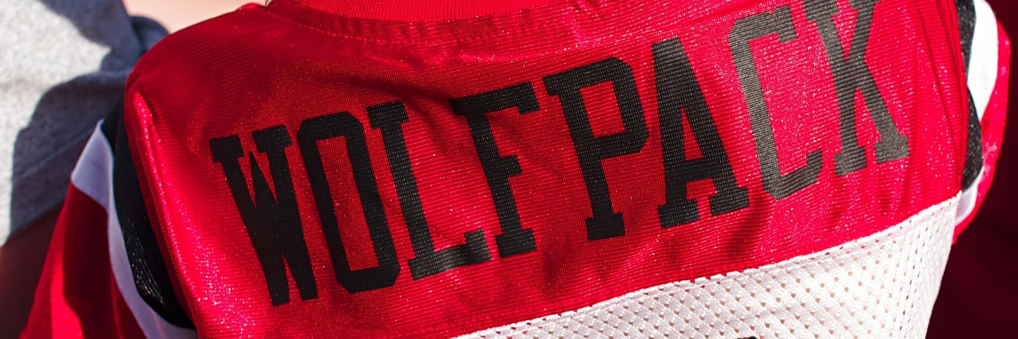 Bethany Smith banner