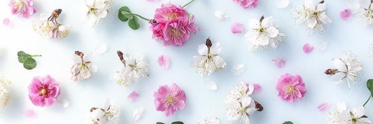 lycopene1016's profile banner image