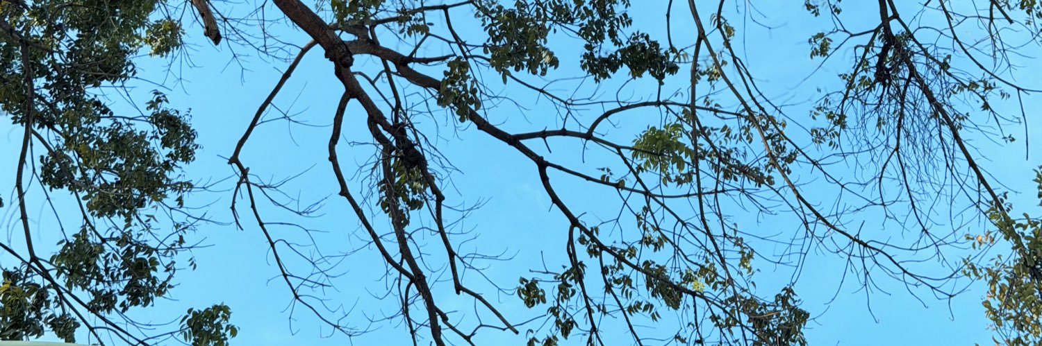 slmkarima's profile banner image