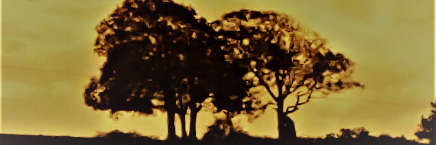 zeecray's profile banner image