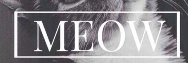 PrettyKitty478's profile banner image