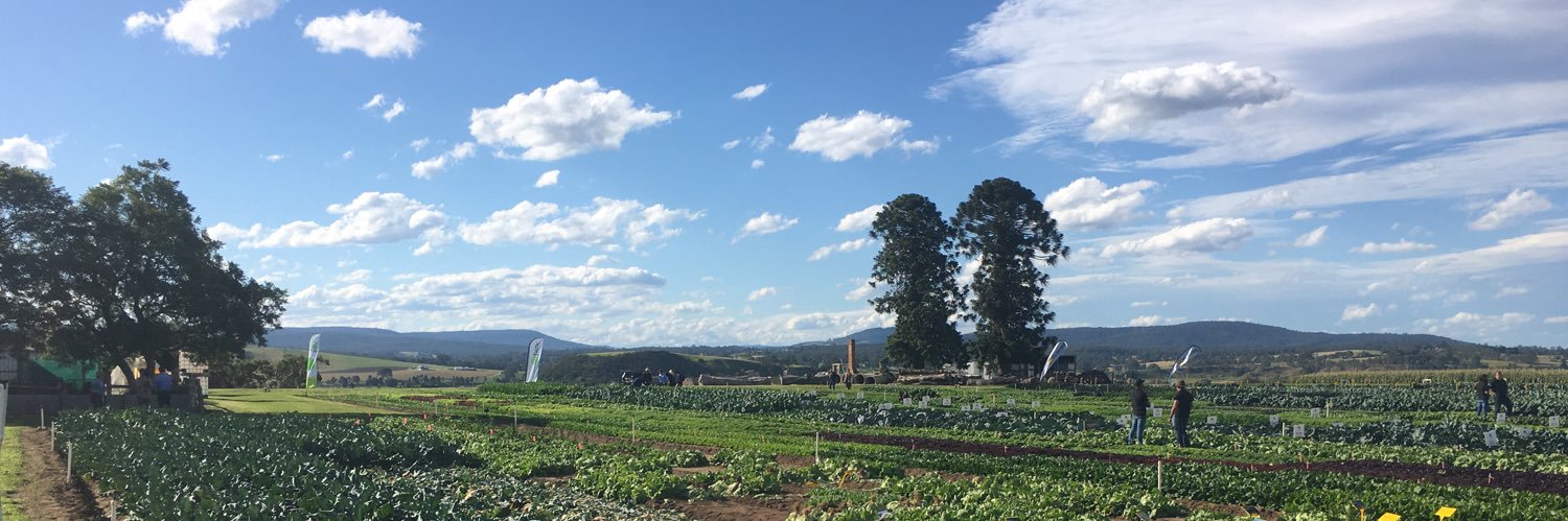 connorsteelveg's profile banner image