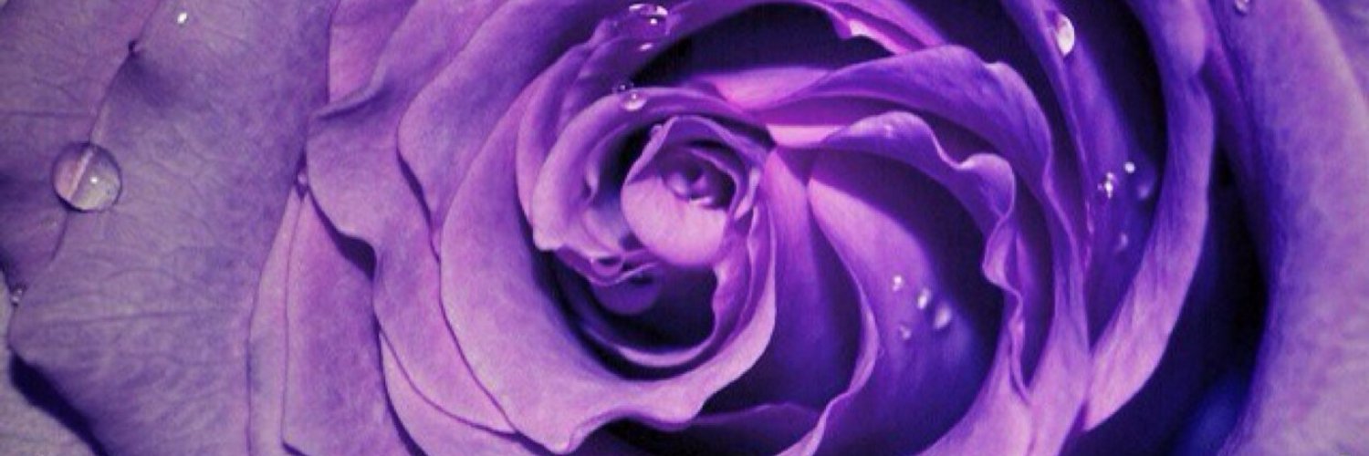 sh1982oog's profile banner image
