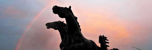 |Dante| banner