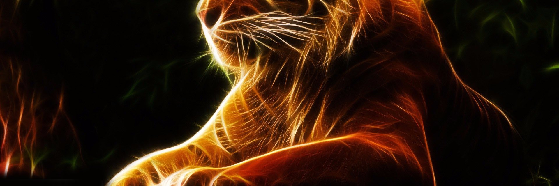Bamse2K's profile banner image