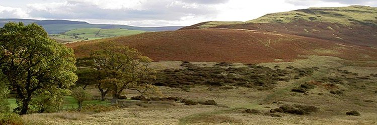 MidWalesOrienteering banner