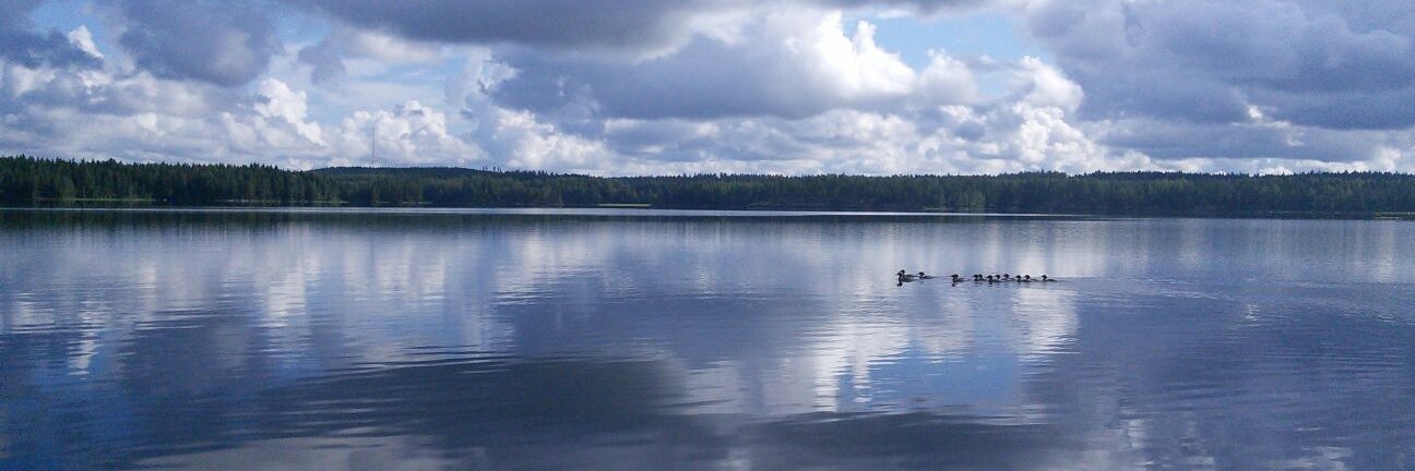 Kirsi Mononen banner