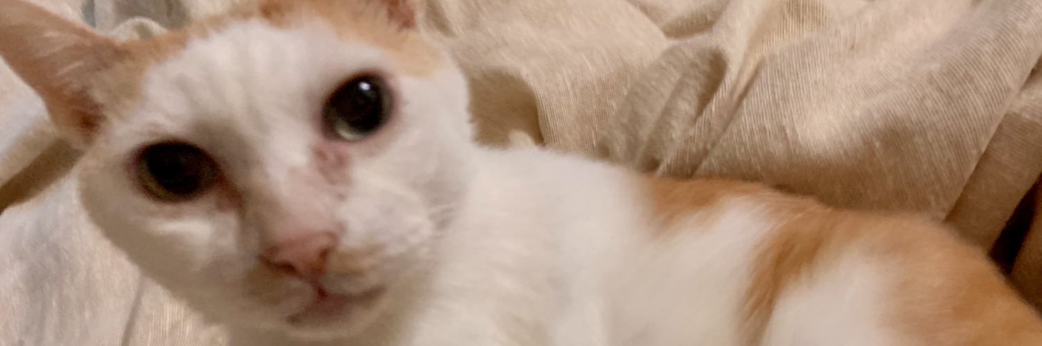 erio_page's profile banner image