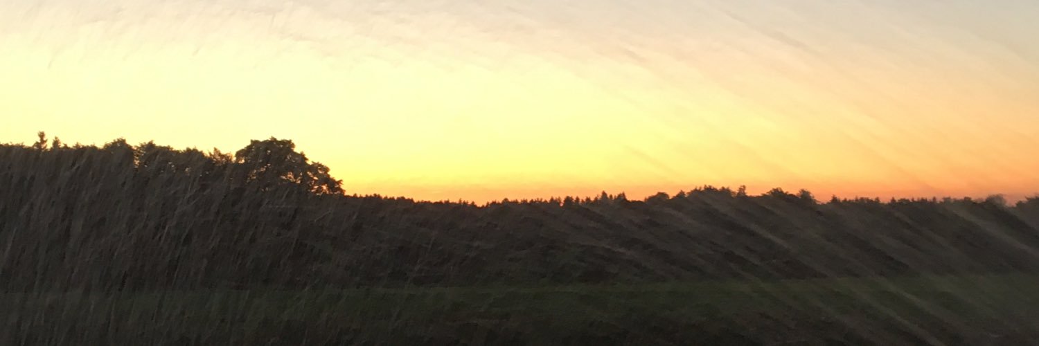 haevi2's profile banner image