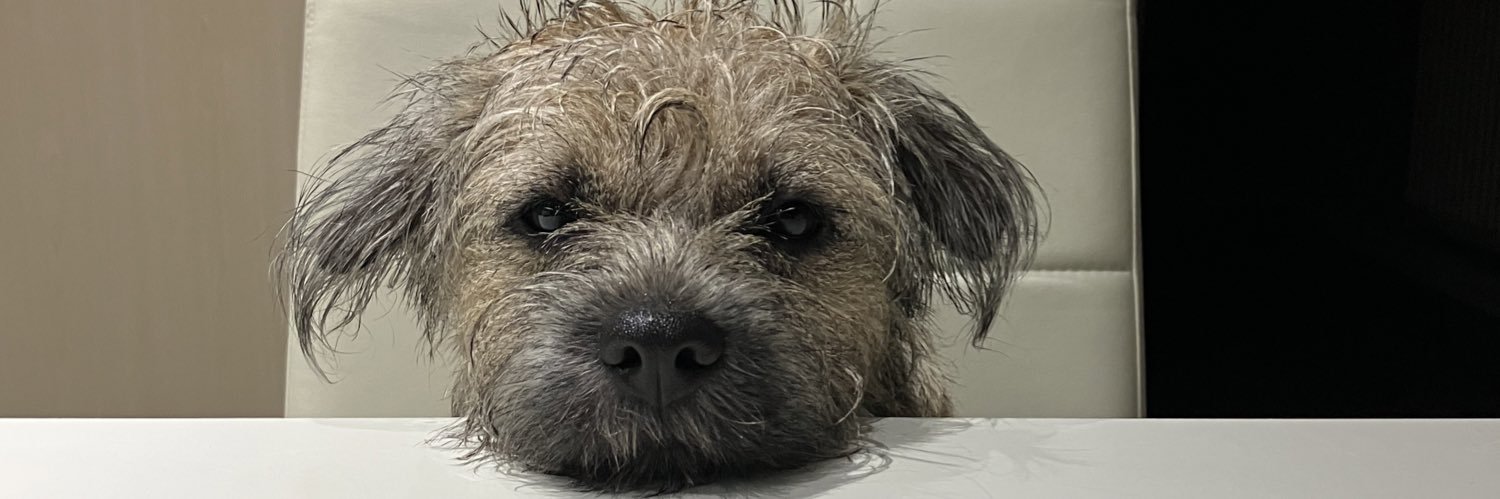 Sir Wilbur (CBE) 😊🐶 banner