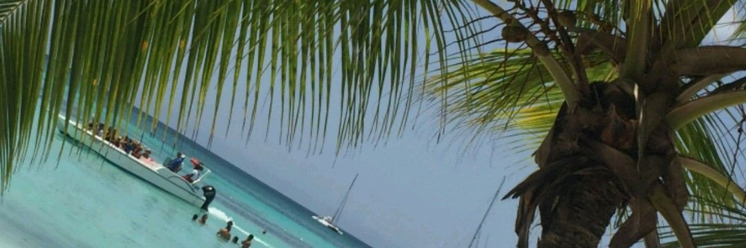 Pilar Sánchez banner