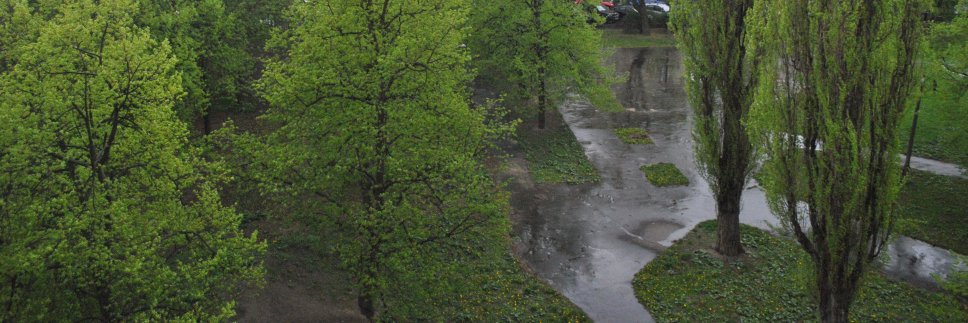 Iga Kazimierczyk's banner