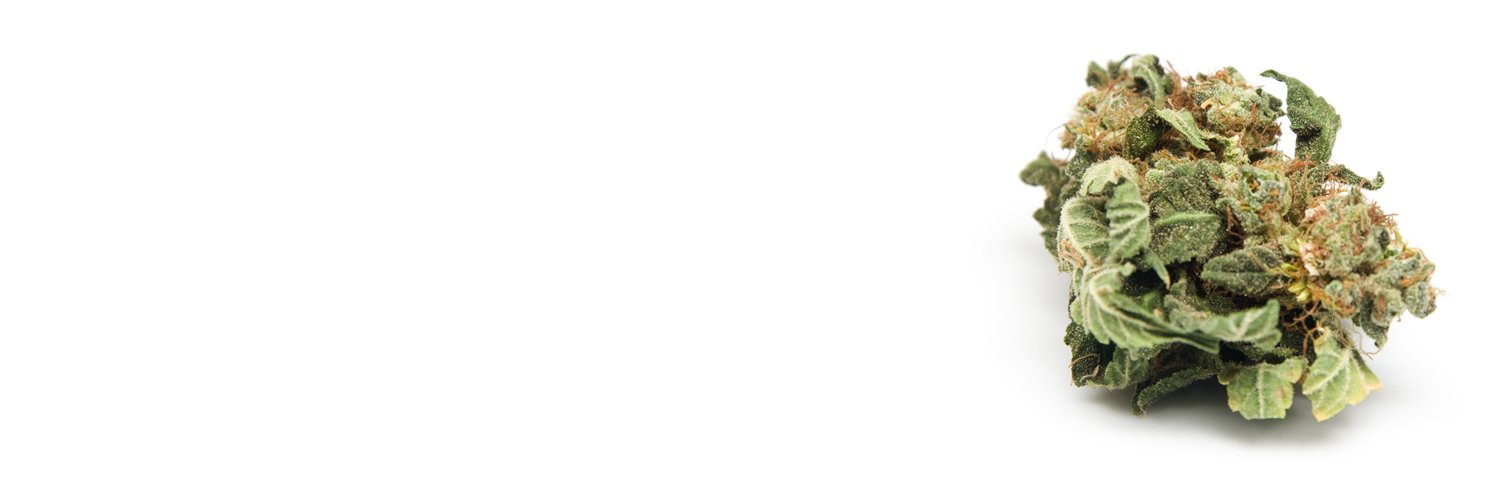 WeedInbox's profile banner image