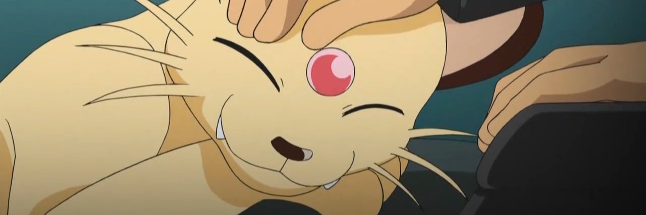 FelineDecorum's profile banner image