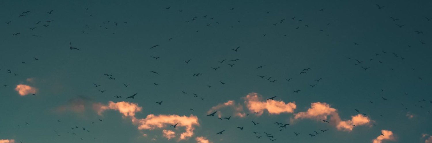 b_b22b2's profile banner image