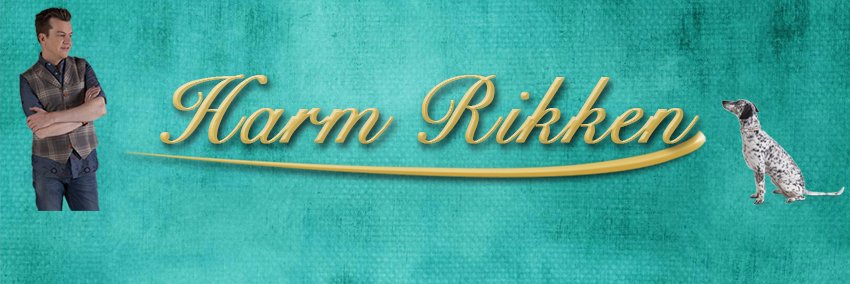 Harmrikken's profile banner image