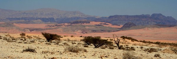 RoeyAngel Profile Banner