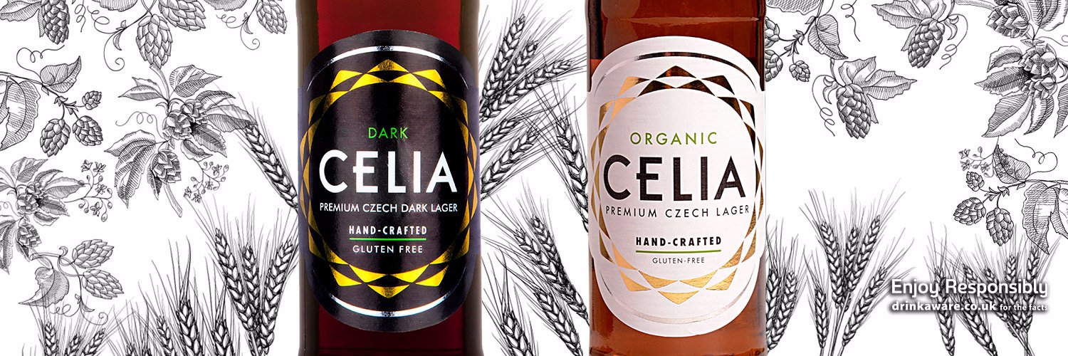 CELIA Lager banner