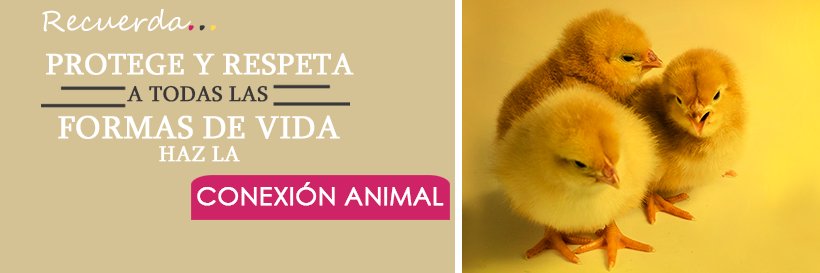 Conexión Animal's banner