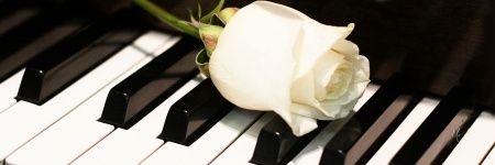 Zelda Gauld banner
