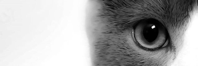 aylsaa's profile banner image