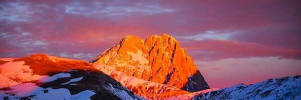 FRANPALM's profile banner image