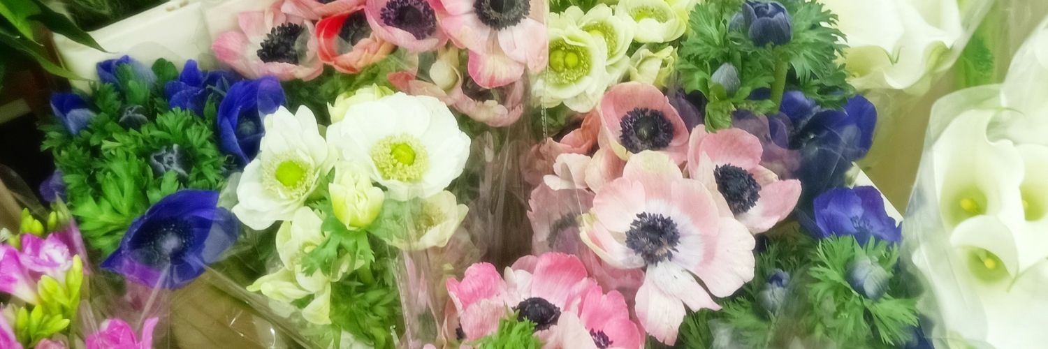 Ʌ LittleV💛🔥🎓 🦋🦊🐰 banner