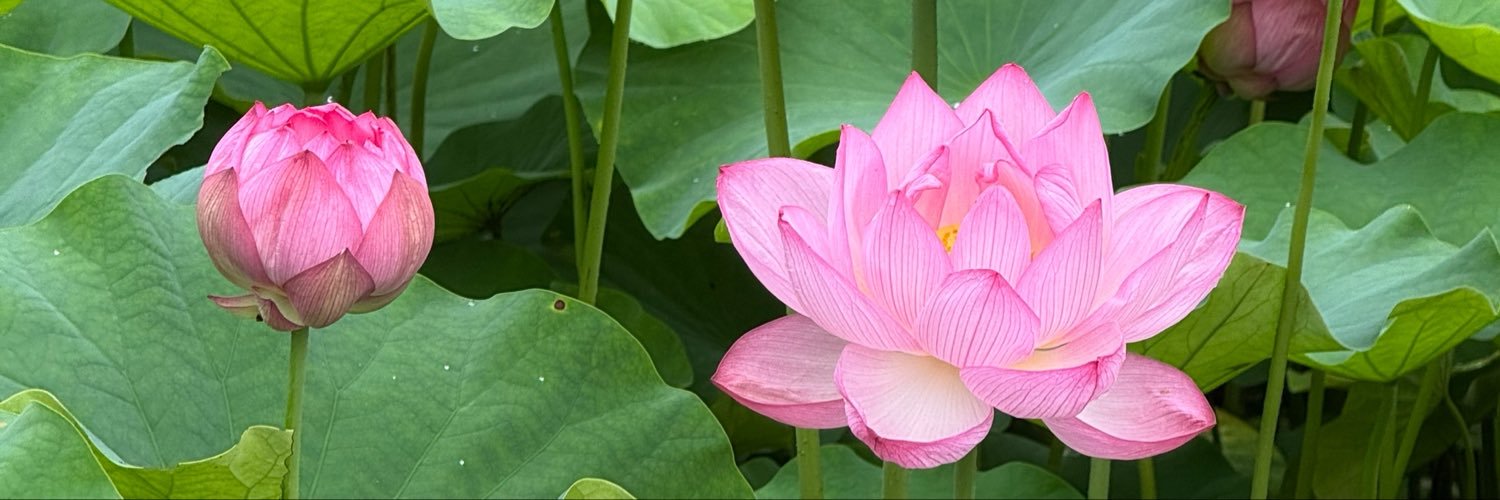 c_ukiwa's profile banner image