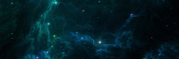 PSI_Wilko Profile Banner