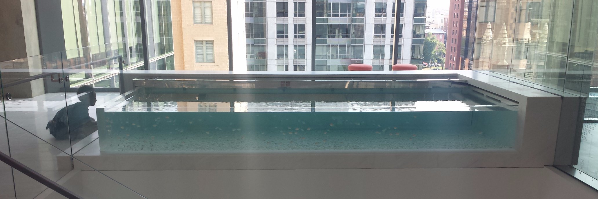 SarahInAmerica's profile banner image