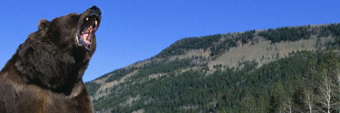 Justin Church banner